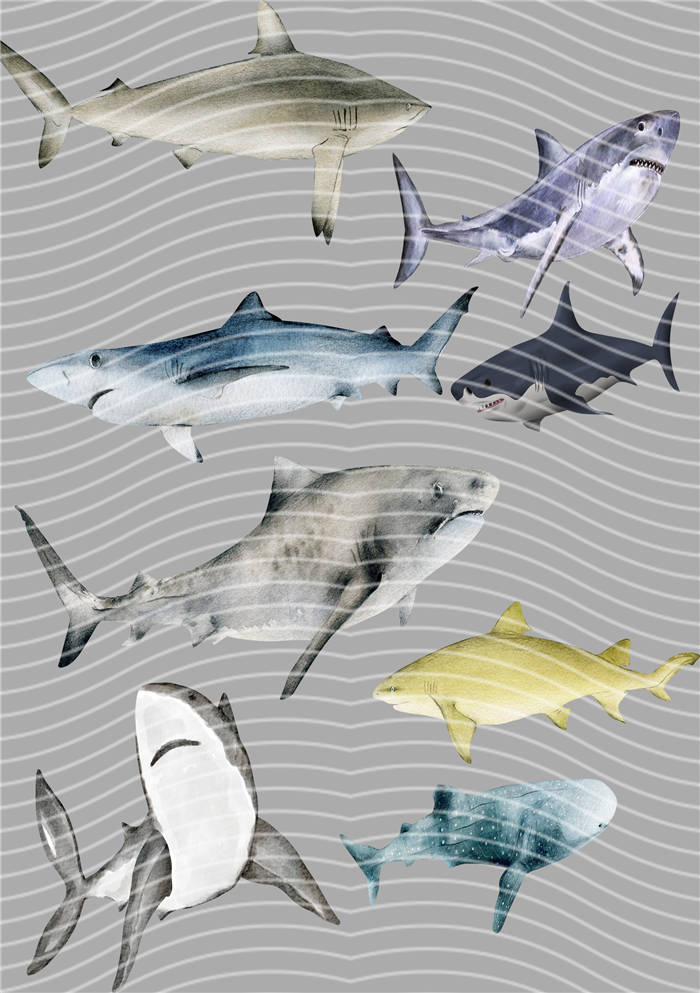 A5 Notebook Wraps-A265